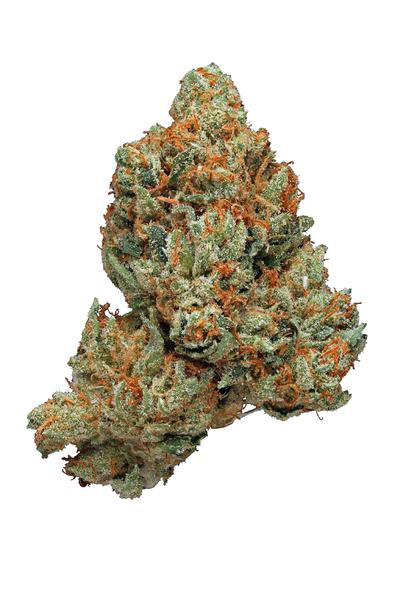 Venice OG - Sativa Cannabis Strain