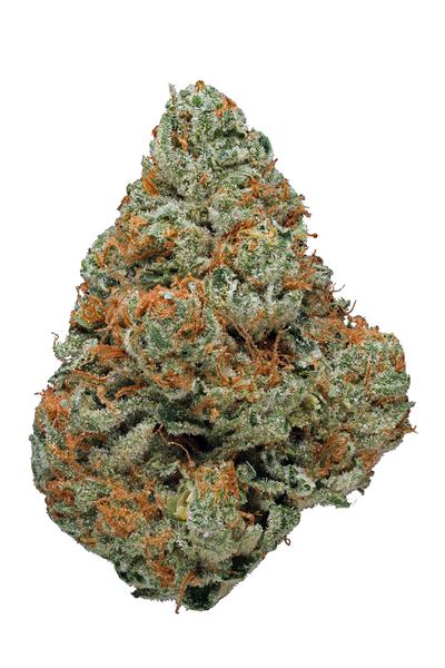 Verde Electric - Hybride Cannabis Strain