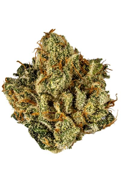 Vegas Golden Kush - Hybride Cannabis Strain