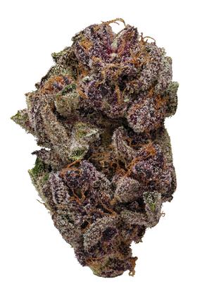 Violet Delight - Hybrid Cannabis Strain