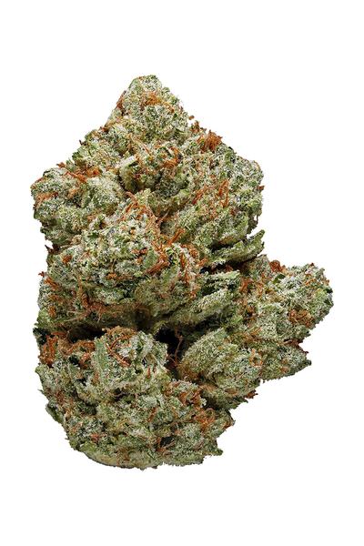 Viper City - Híbrida Cannabis Strain