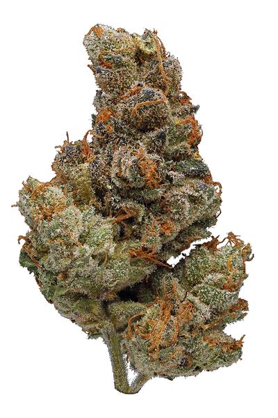 Viper Cookies - Hybrid Cannabis Strain