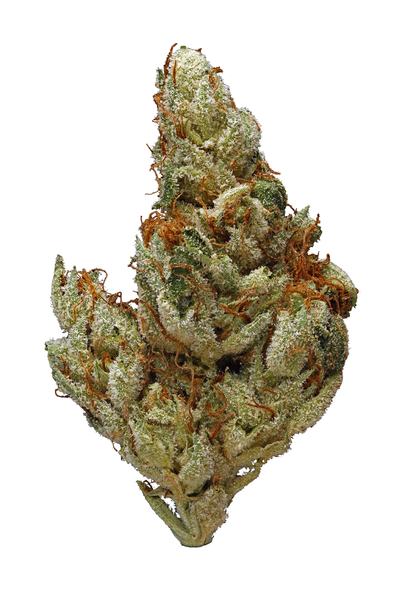 Voodoo - Sativa Cannabis Strain