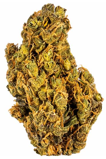 Vortex - Hybrid Cannabis Strain