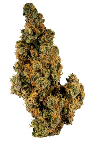 Waikiki Queen - Hybrid Cannabis Strain