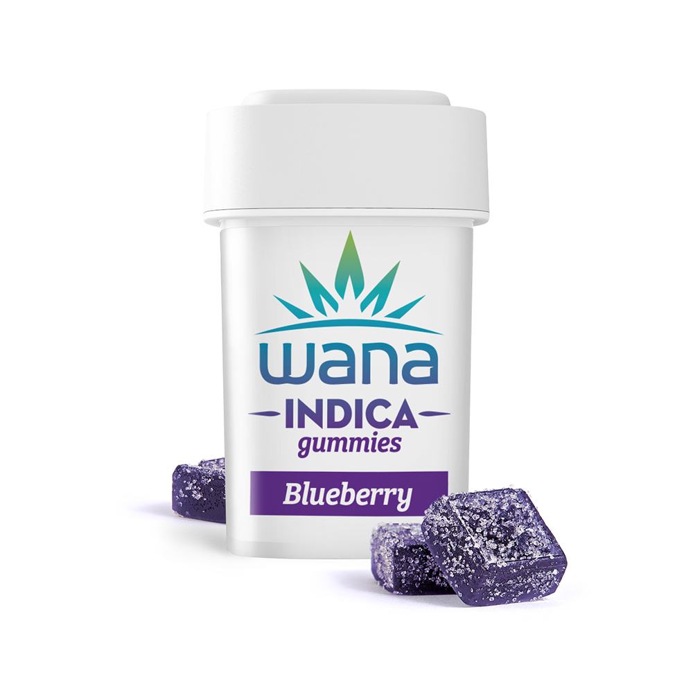 Blueberry Gummies Product Image