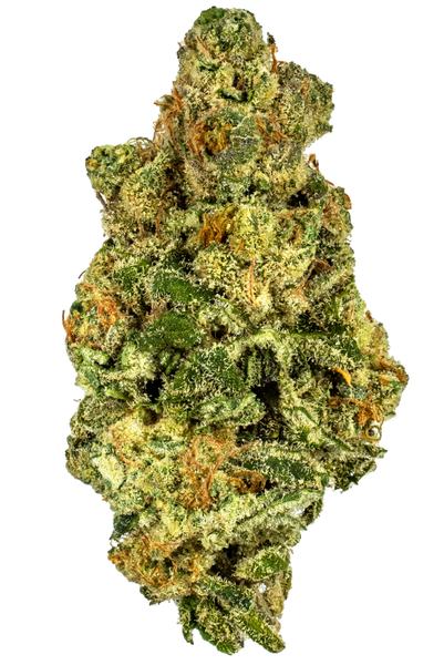 Wappa - Hybrid Cannabis Strain