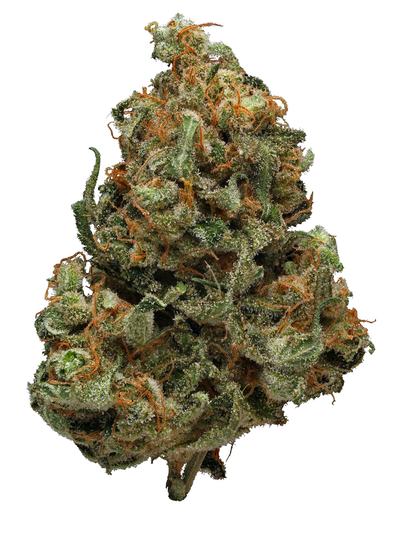 Washington - Híbrido Cannabis Strain
