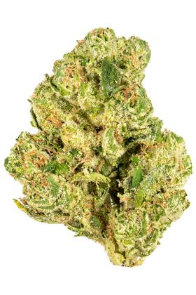 Weapon X #5 - Hybrid Cannabis Strain