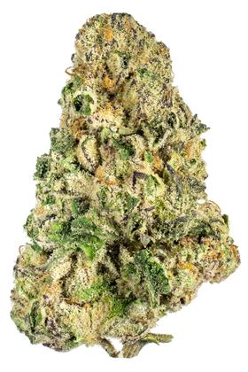 A fluffy nug of the cannabis strain Wedding Crasher is shown against a white background. This has mostly green leaves with a lot of kief. There are a few purple leaves and orange hairs throughout. Photo credit to Hytiva.com.