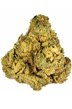 Weed Bros OG - 混合物 Cannabis Strain