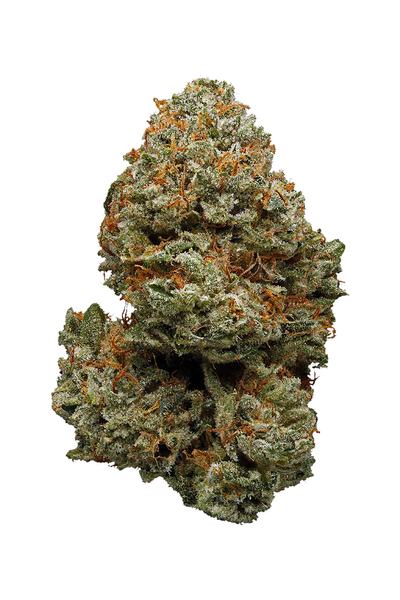 Weezy OG - Hybride Cannabis Strain