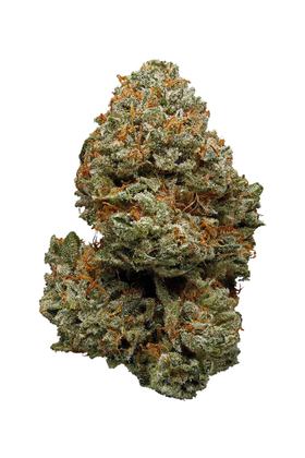 Weezy OG - Hybrid Cannabis Strain
