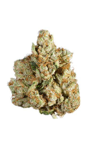 Weezy - Hybrid Cannabis Strain