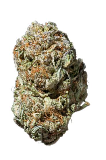 White Cheese - Hybrid Cannabis Strain