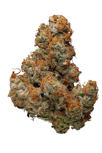 White Cookies - Híbrido Cannabis Strain