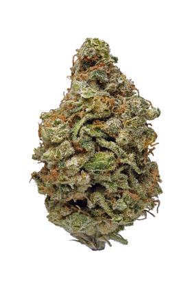 White Dawg - Híbrida Cannabis Strain