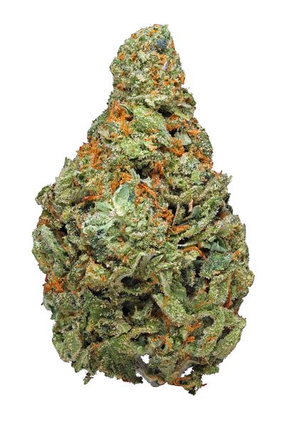 White Dragon - Indica Cannabis Strain