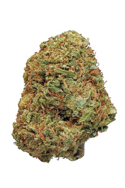White Gorilla - 混合物 Cannabis Strain