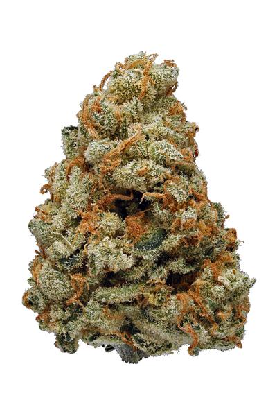 White Haze - Sativa Cannabis Strain