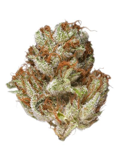 White Lotus - Hybrid Cannabis Strain