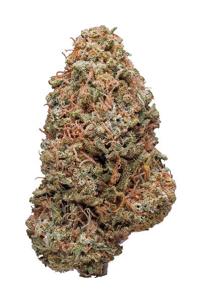 White Russian - Híbrido Cannabis Strain