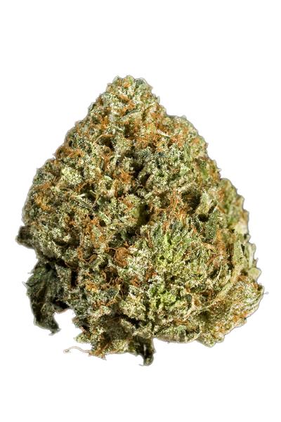 White Skunk - Híbrida Cannabis Strain