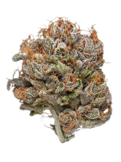 White Slipper - Hybrid Cannabis Strain