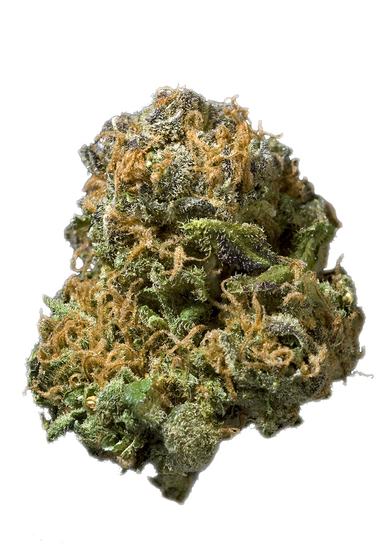 White Spice - Hybrid Cannabis Strain