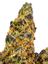 White Tahoe Cookies Hybrid Cannabis Strain Thumbnail