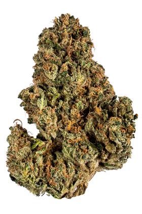 White Tie - Hybrid Cannabis Strain
