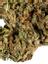 White Tie Hybrid Cannabis Strain Thumbnail