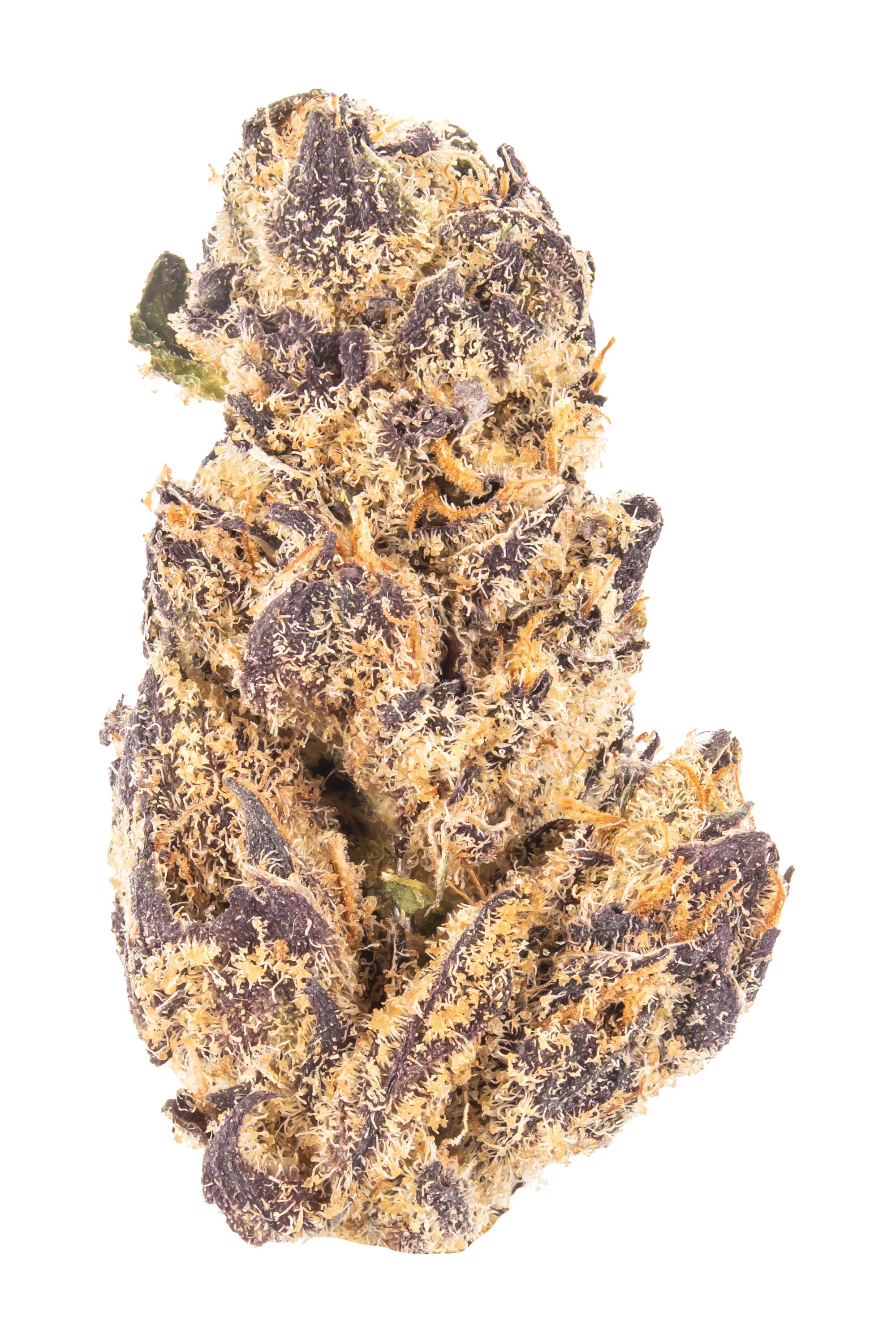 White Truffles - Hybrid Cannabis Strain