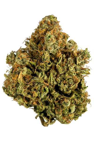 White Widow - Híbrida Cannabis Strain