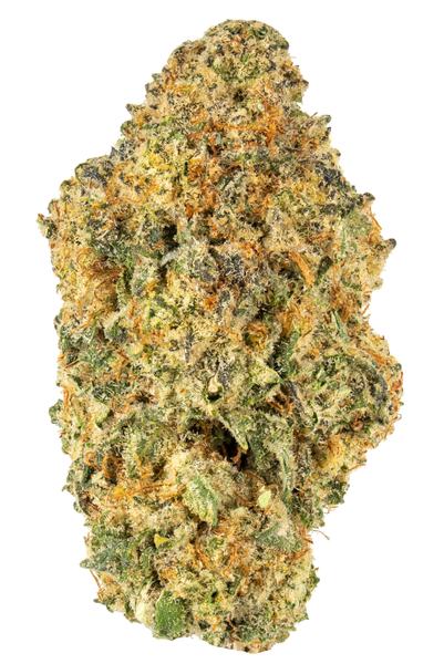 Who Knows - Híbrida Cannabis Strain