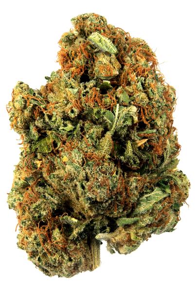 White Fire OG - Híbrido Cannabis Strain