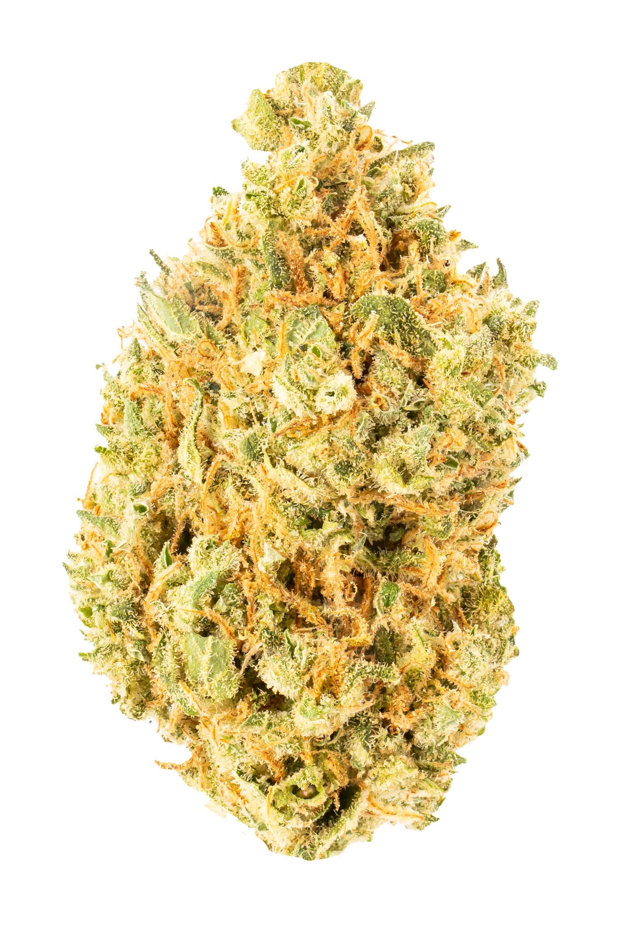 Wild Kush - Hybrid Cannabis Strain
