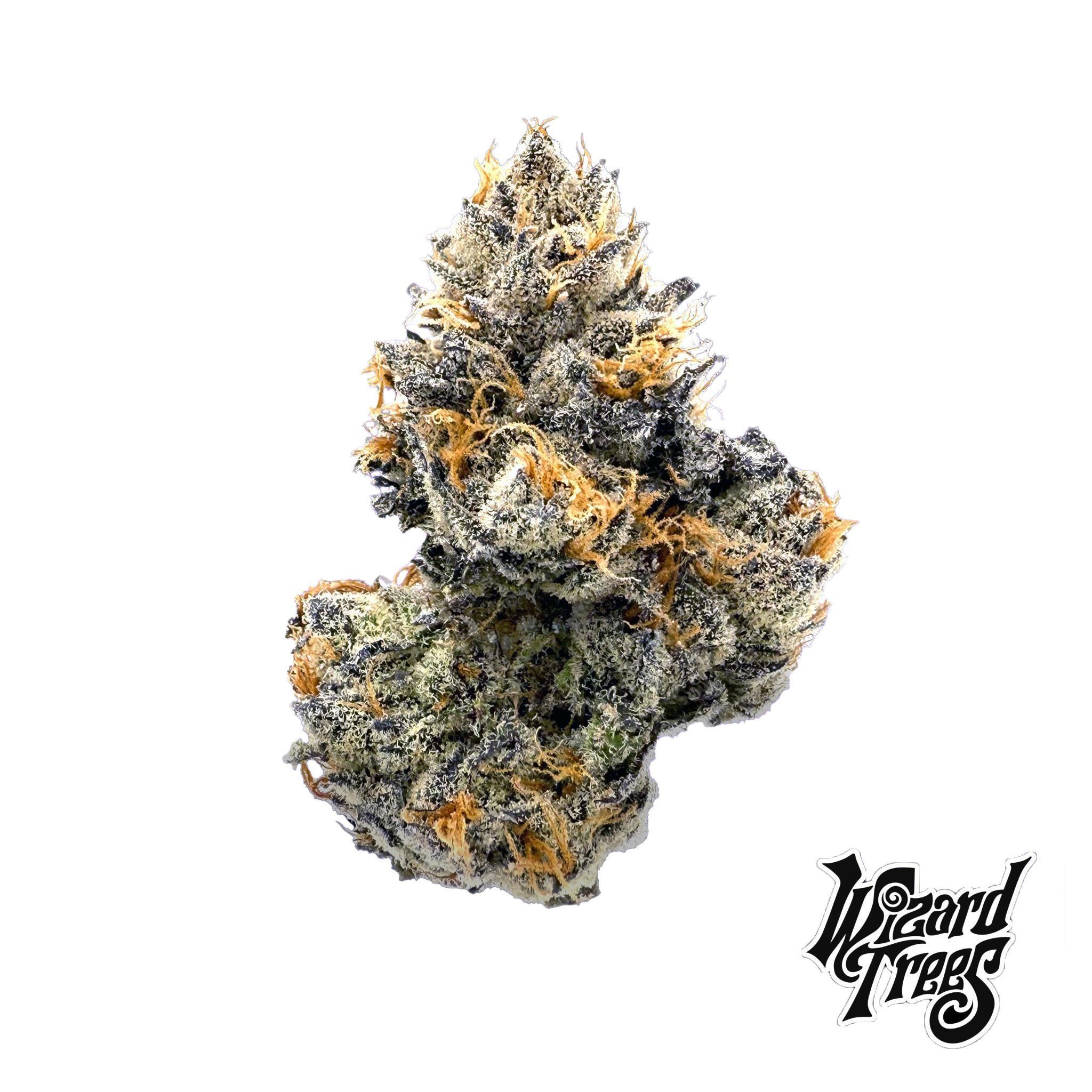 Lime Light Flower Product Image