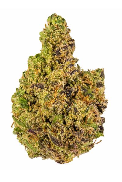 Wonder Dawg - Hybrid Cannabis Strain