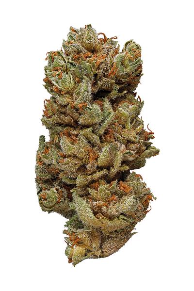 Wonka Kush - Hybrid Cannabis Strain