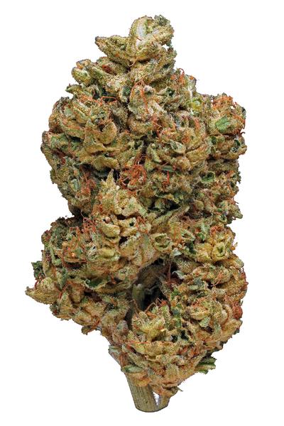 Woody Kush - Indica Cannabis Strain