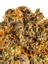 Wookies Hybrid Cannabis Strain Thumbnail