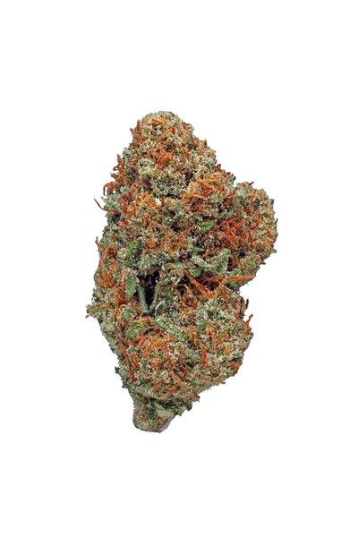 Wreckage - Híbrida Cannabis Strain