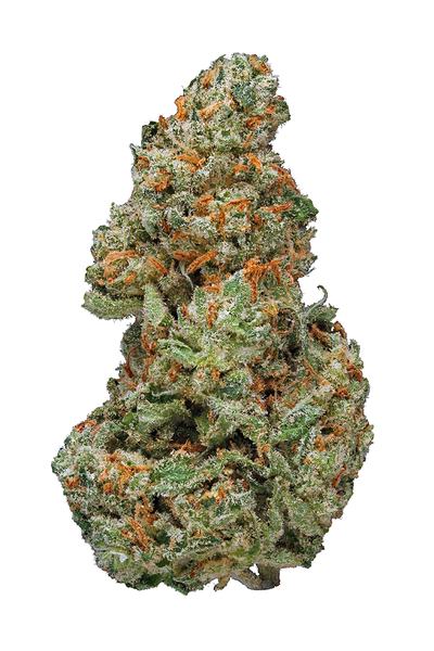 XJ 13 - Hybrid Cannabis Strain