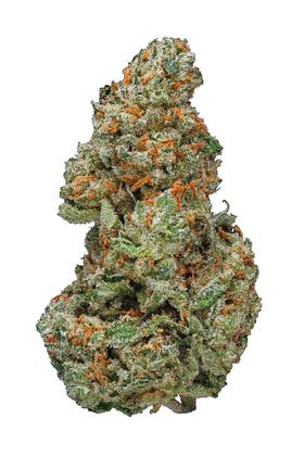 XJ 13 - Híbrida Cannabis Strain