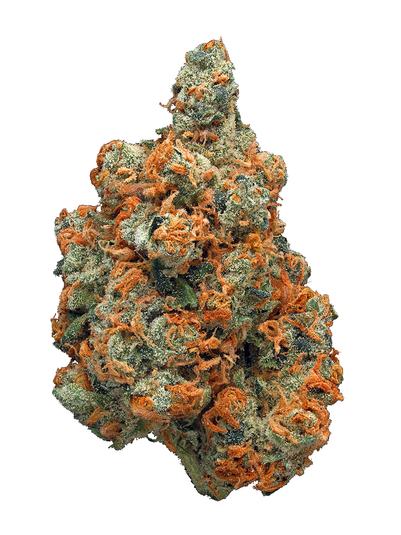 XXX OG - 混合物 Cannabis Strain