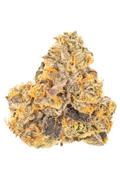 Y X Snowman - Híbrida Cannabis Strain