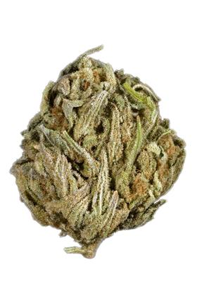 Yeti OG - Hybrid Cannabis Strain