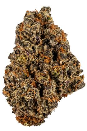Yo-11 - Sativa Cannabis Strain