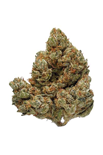 Yoda OG - Híbrida Cannabis Strain